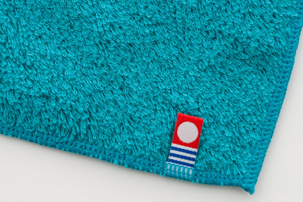 ターコイズブルー（サメ）