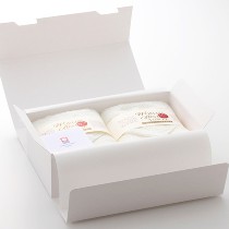 ワールドベスト ギフトセット(MBT×2枚入)