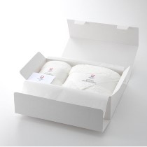 雲ごこちタオル ギフトセット(BT、FT×1)